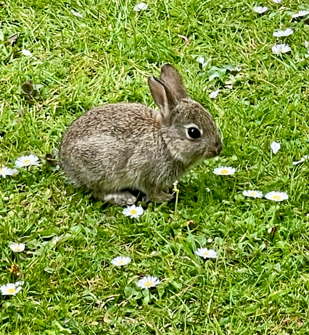 about Falmer Court about Falmer Court
