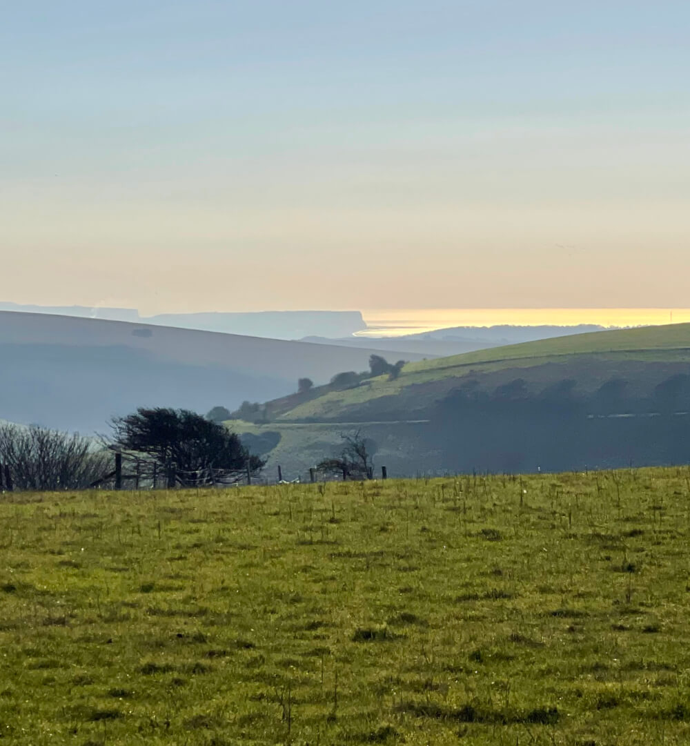 about Falmer Court about Falmer Court