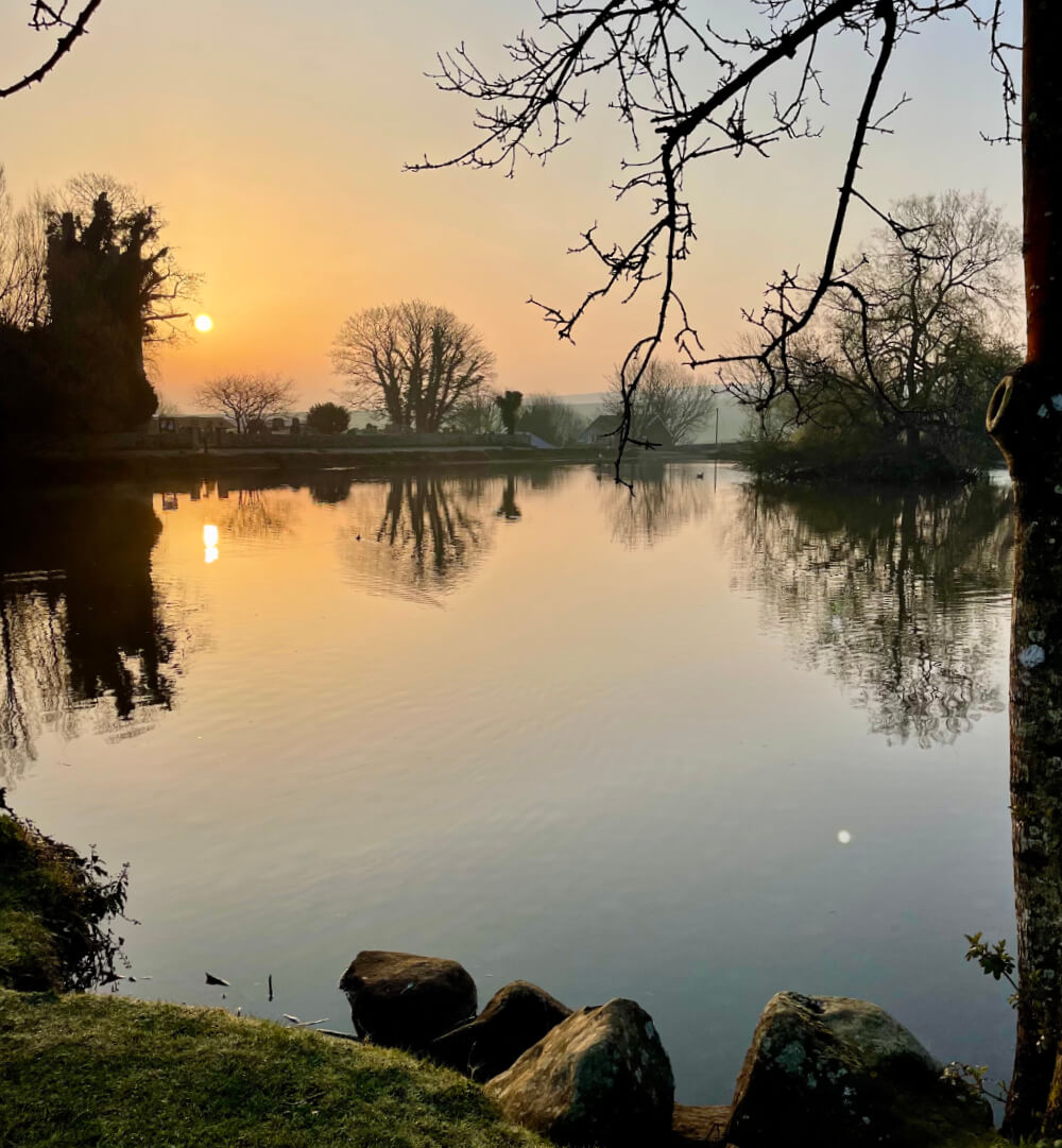 about Falmer Court about Falmer Court