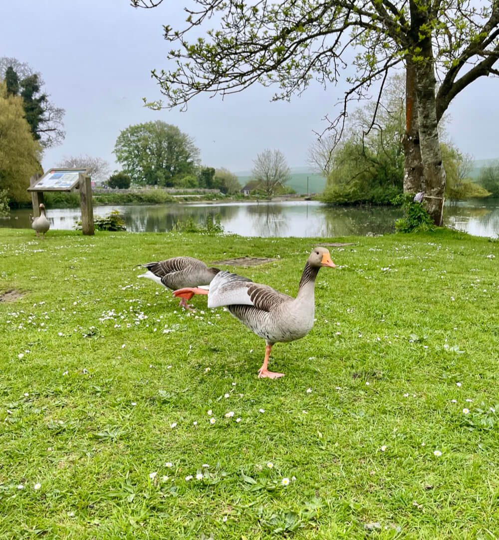 about Falmer Court about Falmer Court