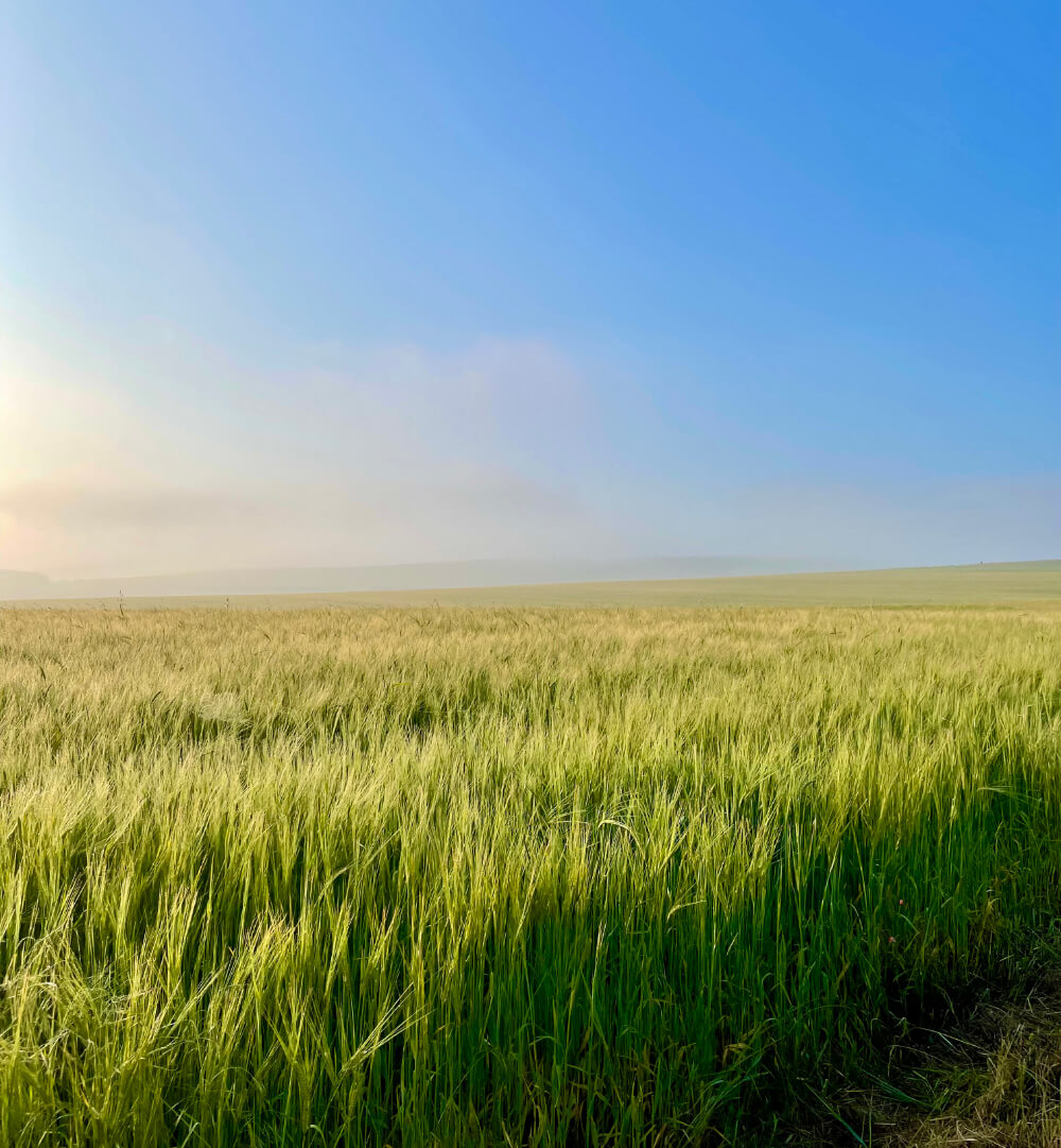 about Falmer Court about Falmer Court