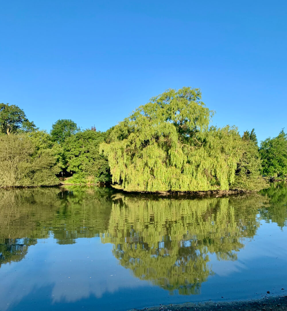 falmer-court-studio-hire-3