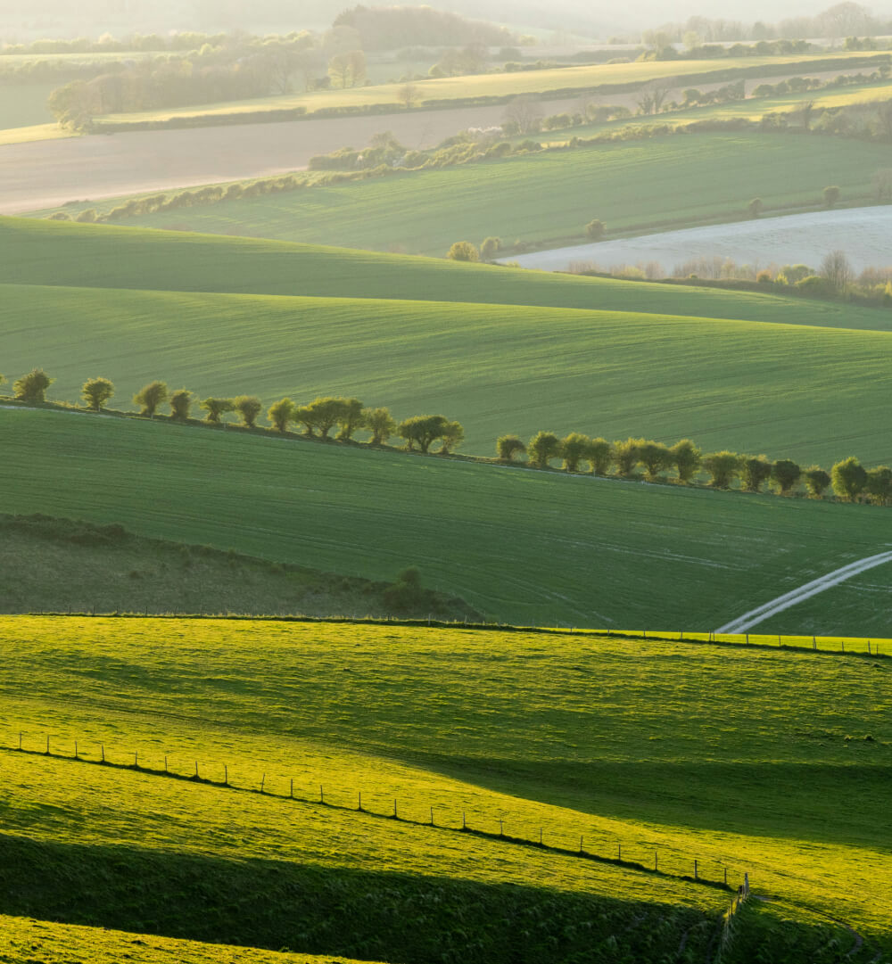 Falmer Court Sustainability Development Goals