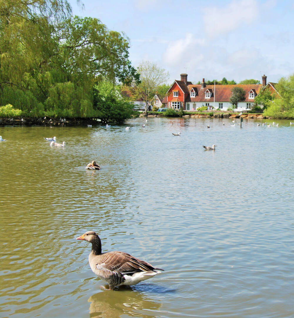 Falmer Court Sustainability Development Goals