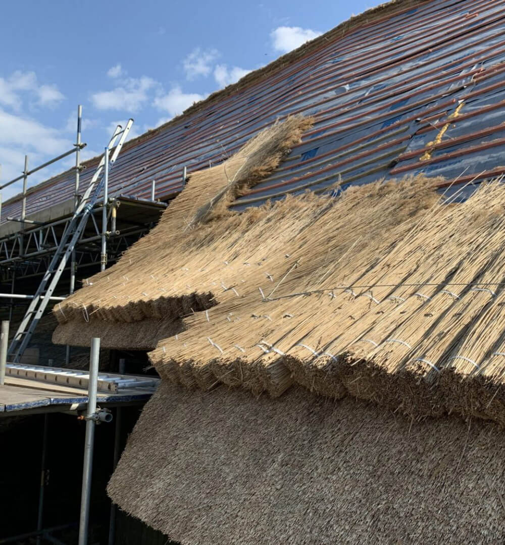 Falmer Court Sustainability Development Goals